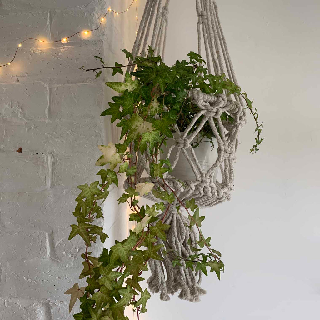 Extra Large Macrame Plant Hanger-Siesta Crafts