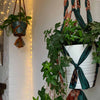 Recycled Sari Plant Hanger Large-Siesta Crafts