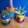Mithila Flower Pot and Saucer Small-Siesta Crafts