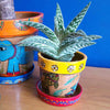 Mithila Flower Pot and Saucer Small-Siesta Crafts