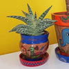 Mithila Round Flower Pot and Saucer Small-Siesta Crafts