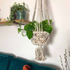 Heavy Duty Macrame Plant Hanger-Siesta Crafts