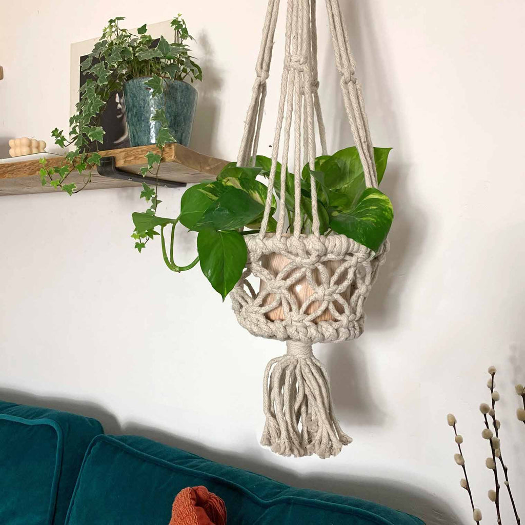 Heavy Duty Macrame Plant Hanger-Siesta Crafts