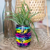 Soapstone Vase - Multi-Siesta Crafts