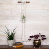 Wall Macrame Plant Hanger-Siesta Crafts