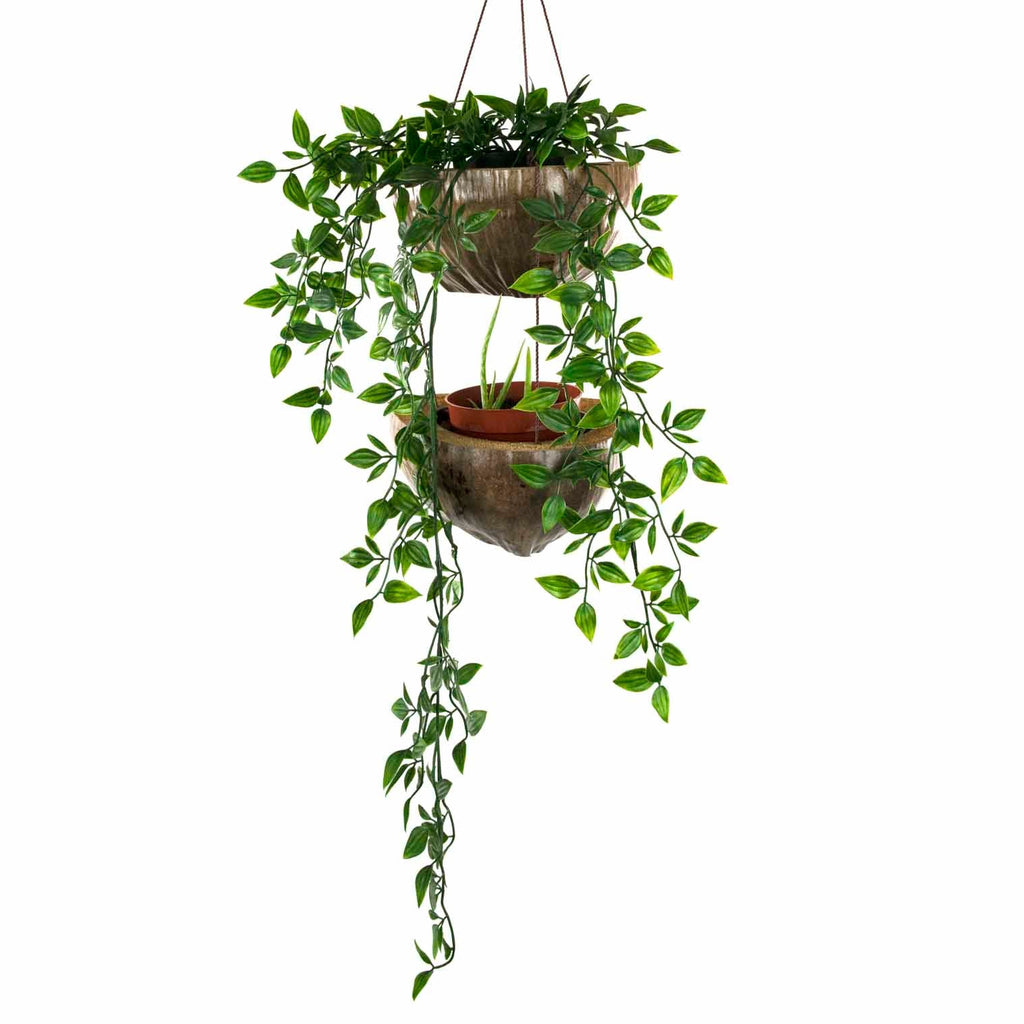 Double Coconut Plant Hanger-Siesta Crafts