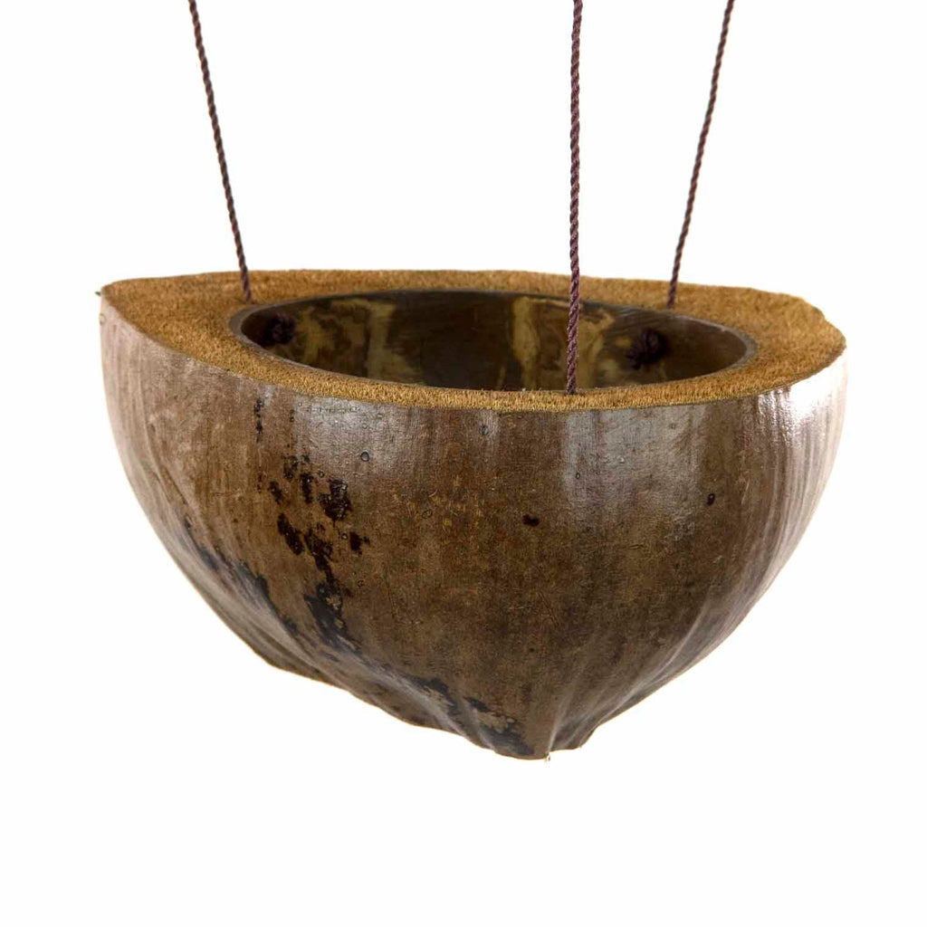 Double Coconut Plant Hanger-Siesta Crafts
