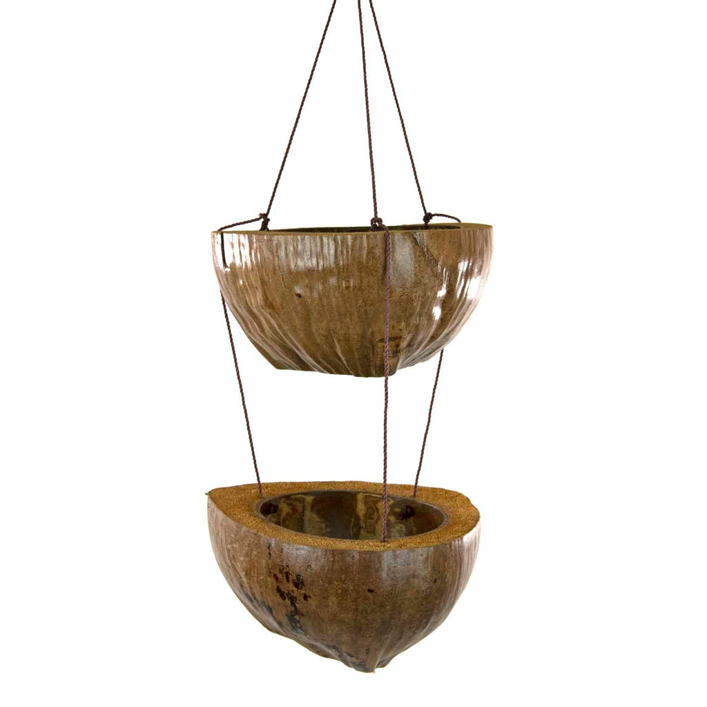 coconut plant hanger Double Coconut Plant Hanger – Siesta Crafts