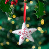 Star Felt Christmas Decoration-Siesta Crafts