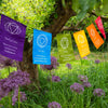 Chakra Prayer Flags-Siesta Crafts