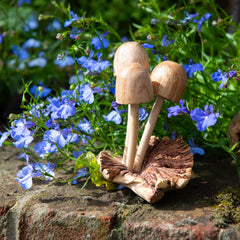 Parasite Wood Mushrooms-Siesta Crafts