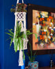 Double Macrame Plant Hanger-Siesta Crafts