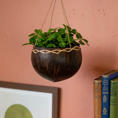 Coconut Plant Hanger-Siesta Crafts