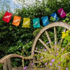 Dragonfly Bunting-Siesta Crafts