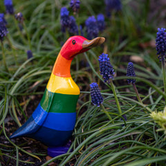 Rainbow Duckling-Siesta Crafts