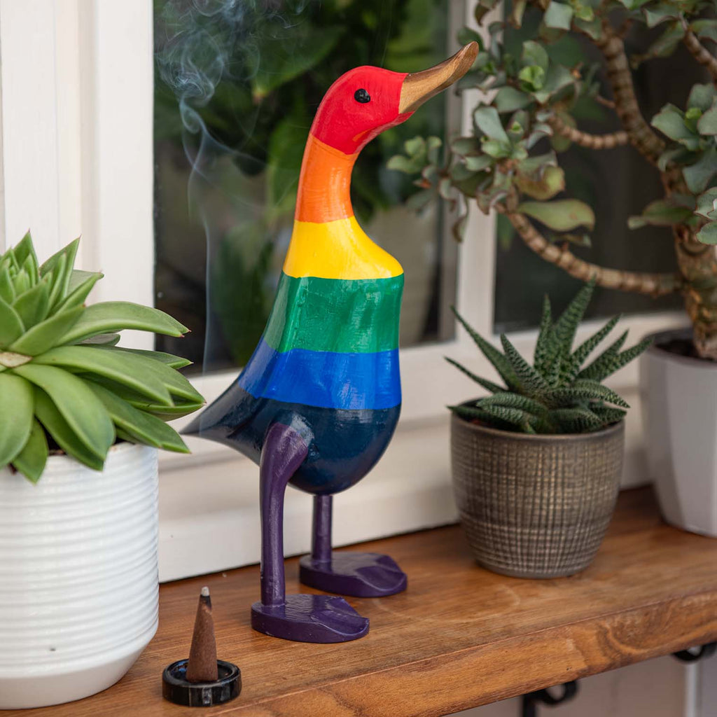 Rainbow Duck-Siesta Crafts
