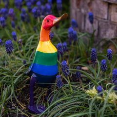 Rainbow Duck-Siesta Crafts