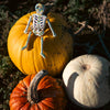 Candy Skull Small Skeleton-Siesta Crafts