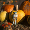 Candy Skull Small Skeleton-Siesta Crafts