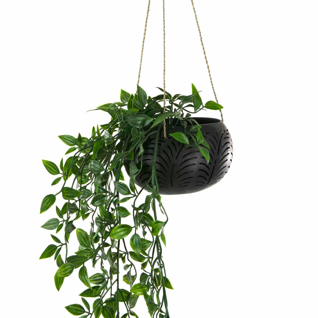coconut plant hanger Cut Out Coconut Plant Hanger – Siesta Crafts