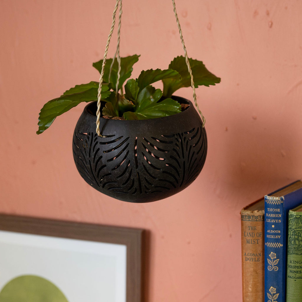 Cut Out Coconut Plant Hanger-Siesta Crafts