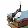 Black and White Shelf Cat-Siesta Crafts
