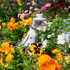 Beekeeper Duck-Siesta Crafts