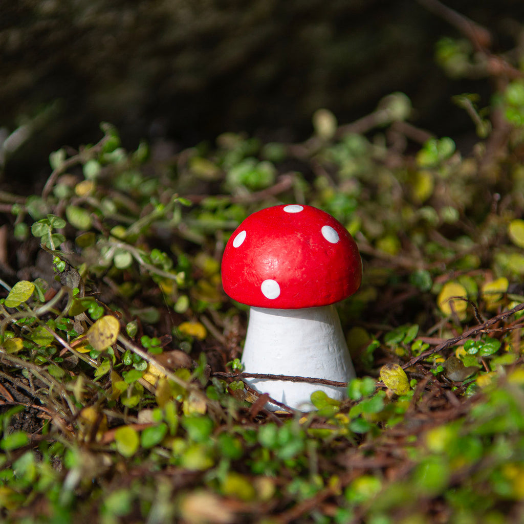 Mini Fly Agaric Mushroom-Siesta Crafts