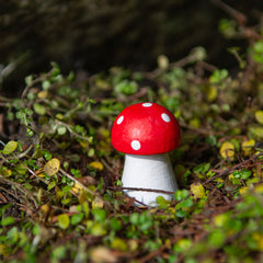 Mini Fly Agaric Mushroom-Siesta Crafts