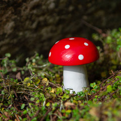Small Fly Agaric Mushroom-Siesta Crafts