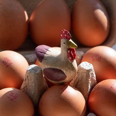 Mini Chicken-Siesta Crafts
