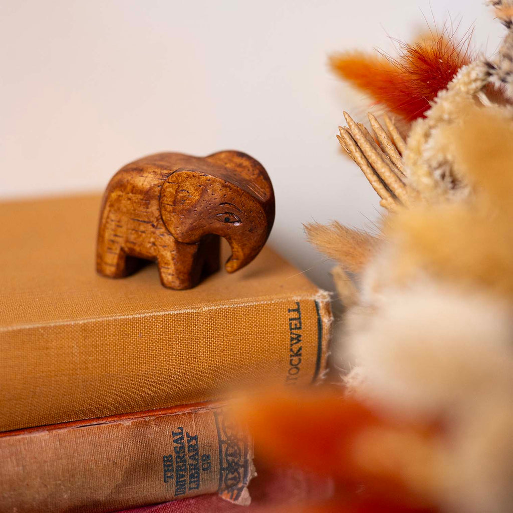 Mini Elephant