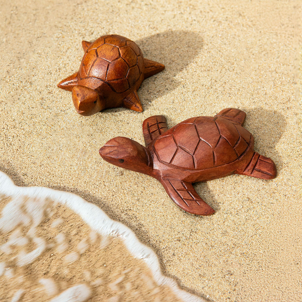 Swimming Turtle-Siesta Crafts