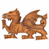 Walking Dragon-Siesta Crafts