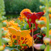Butterfly Stick Garden Ornament-Siesta Crafts
