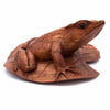 Frog on a Lily Pad-Siesta Crafts