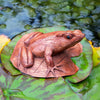 Frog on a Lily Pad-Siesta Crafts