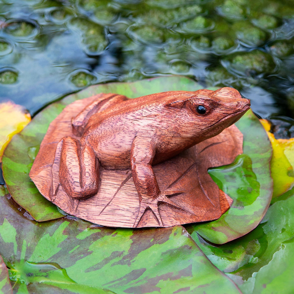 Frog on a Lily Pad-Siesta Crafts
