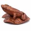 Frog on a Lily Pad-Siesta Crafts