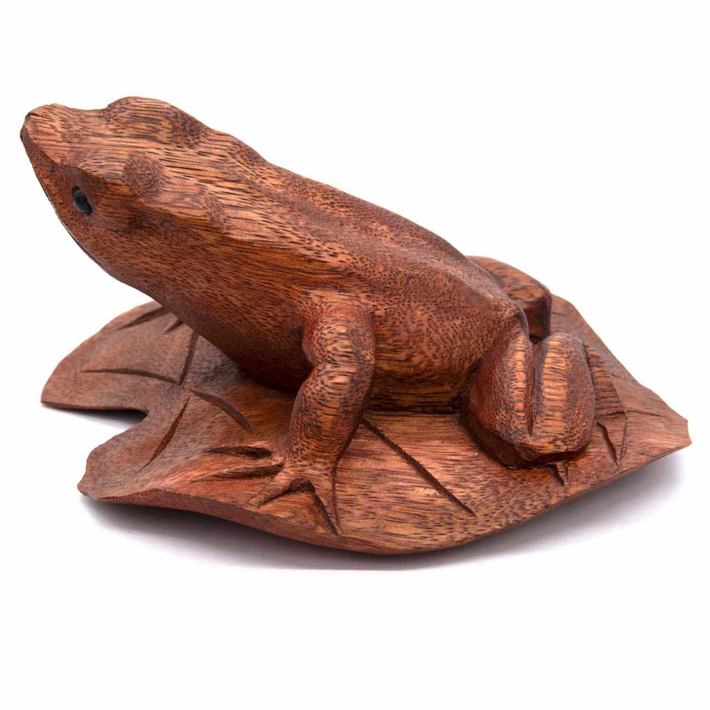 Frog on a Lily Pad-Siesta Crafts
