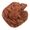 Frog on a Lily Pad-Siesta Crafts