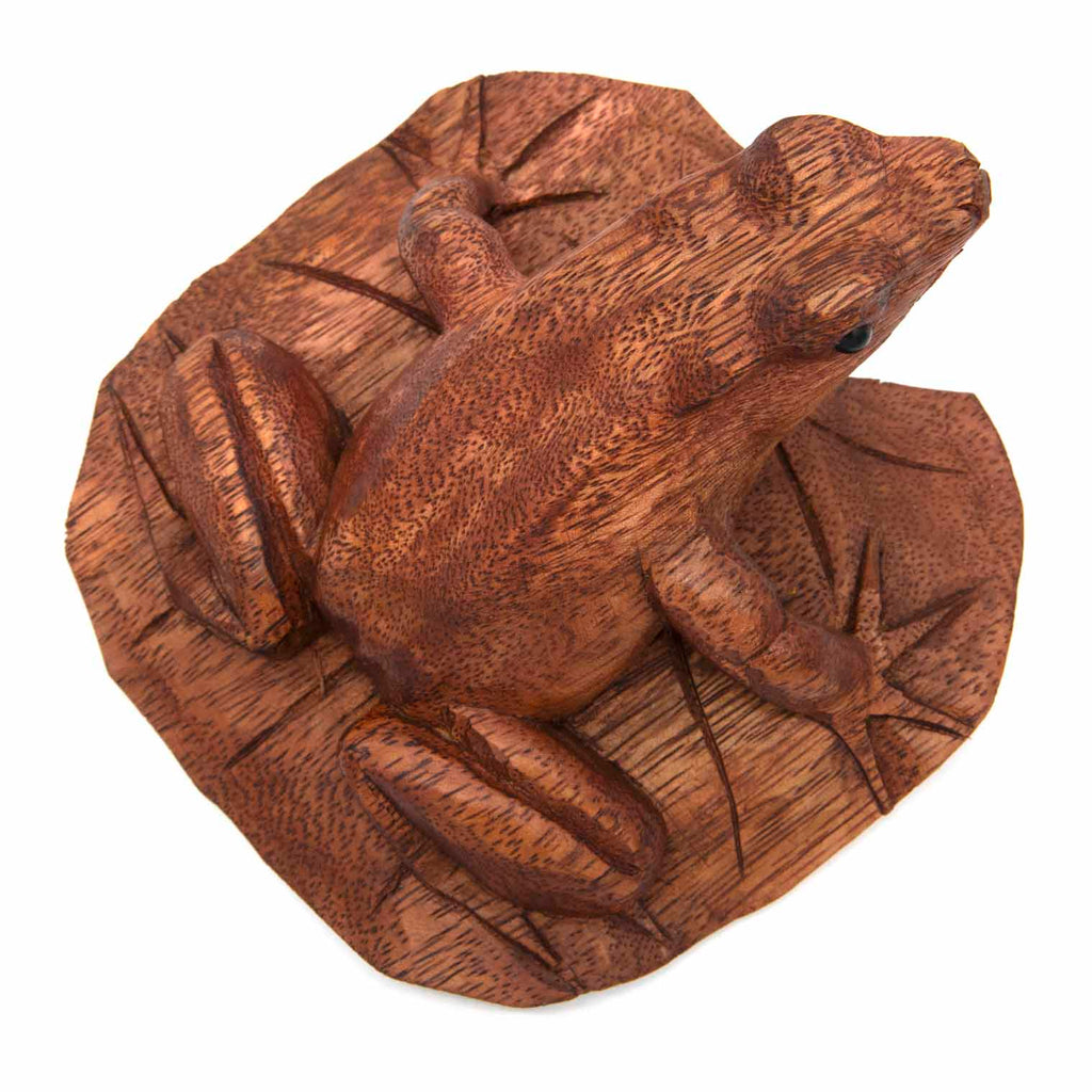 Frog on a Lily Pad-Siesta Crafts