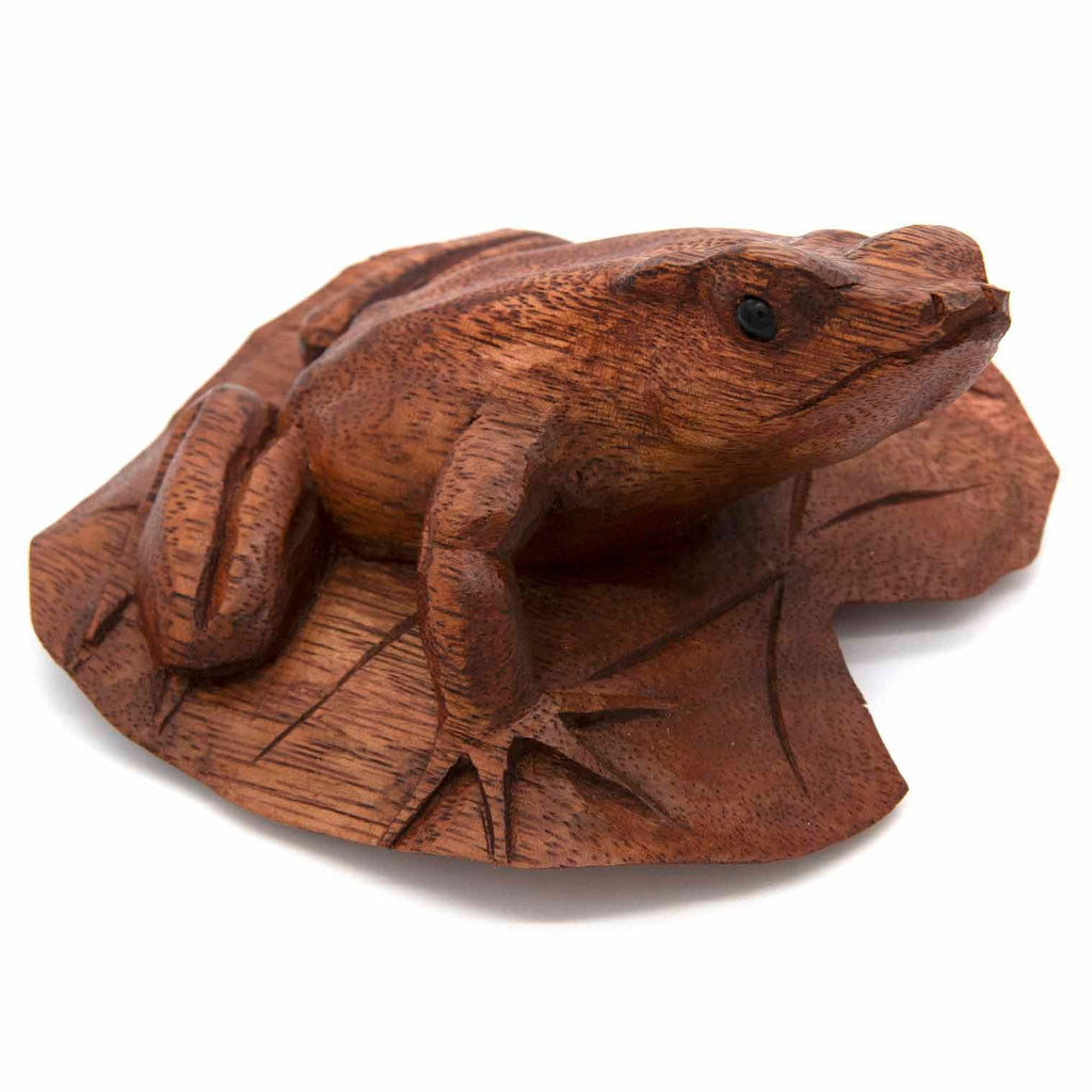 Frog on a Lily Pad-Siesta Crafts