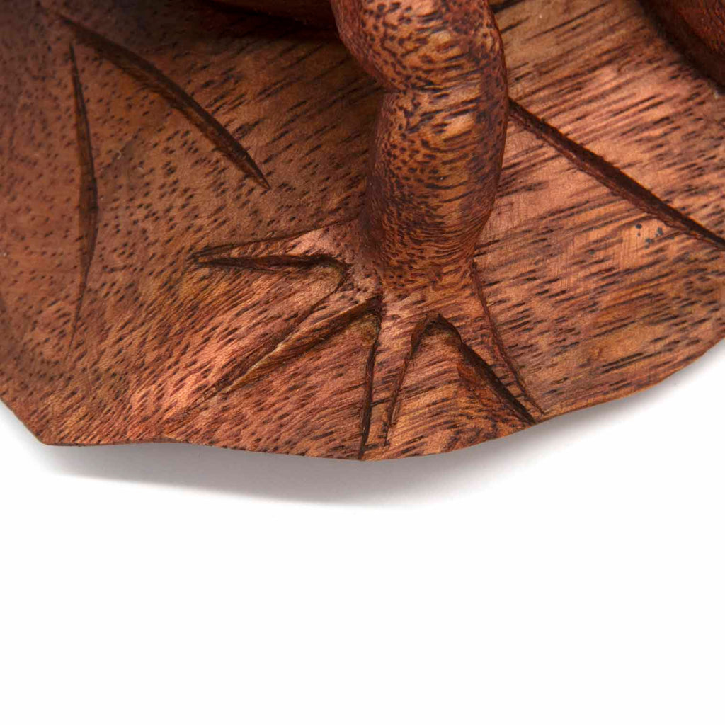 Frog on a Lily Pad-Siesta Crafts