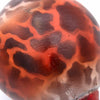 Giraffe Painted Maraca-Siesta Crafts