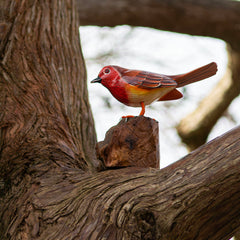 Robin on a Stand-Siesta Crafts