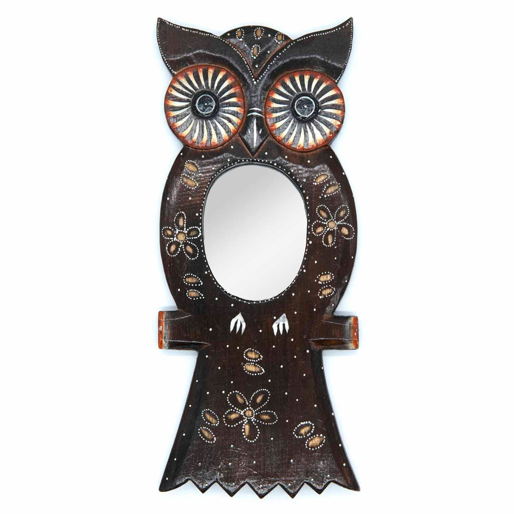 Owl Mirror-Siesta Crafts