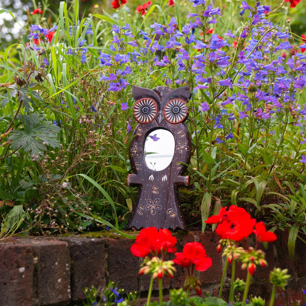 Owl Mirror-Siesta Crafts