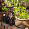 Owl Mirror-Siesta Crafts