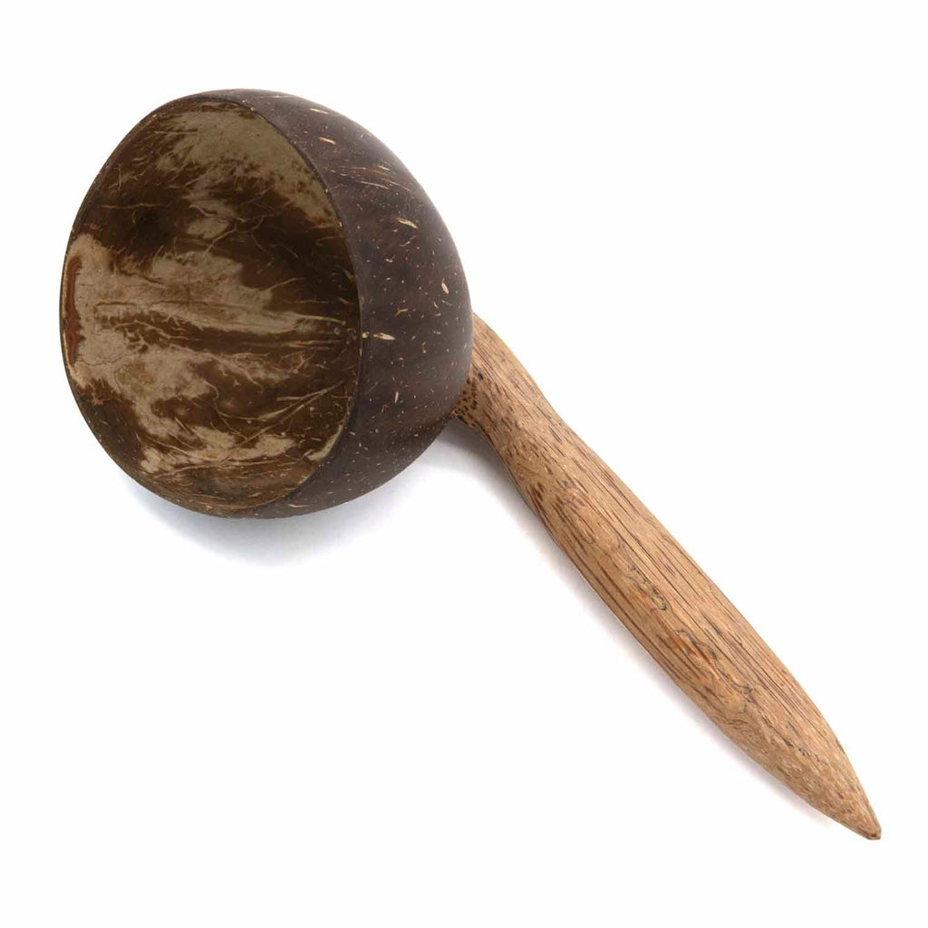 Coconut Scoop-Siesta Crafts